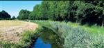 De Voorsterbeek